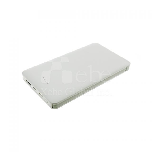 Custom double cables portable charger