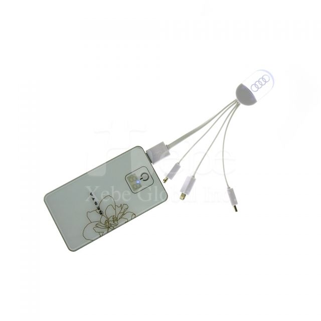 Logo lighting charging cable