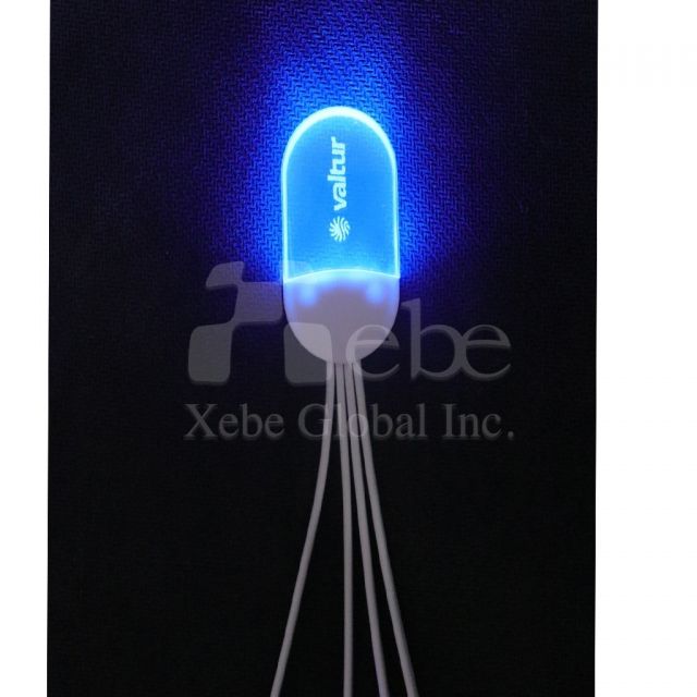 Logo lighting charging cable