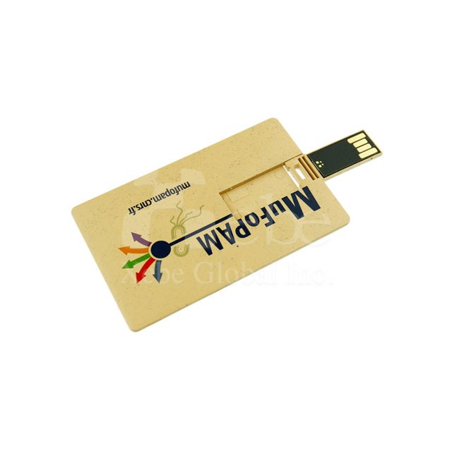 Company LOGO card USB drive