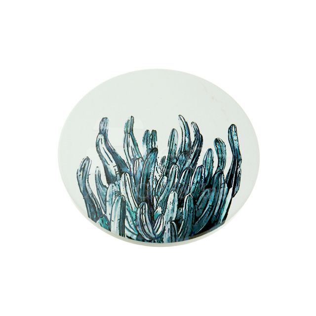 Customize plant absorbent water coaster