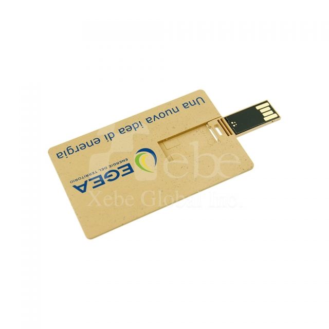 card shape printed LOGO USB
