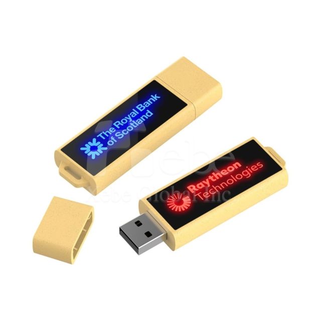 eco friendly wheat straw flash drive